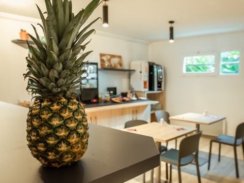 Appart'Hôtel Brest - Camping Finistère - Afbeelding N°5