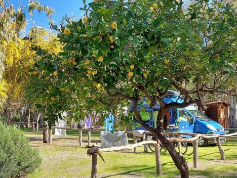 Emplacement - tente ou camping car ou caravane