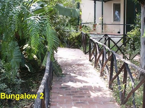 Bungalow 2 personnes - Bungalows con cucina