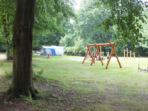 Camping 't Vlintenholt - Camping Drenthe - Image N°32