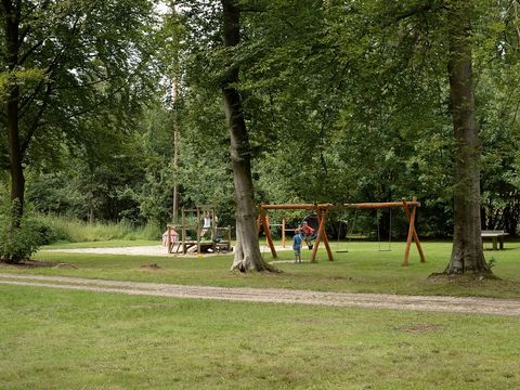 Camping 't Vlintenholt - Camping Drenthe - Image N°21