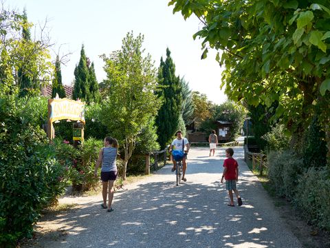 Camping Paradiso - Camping Lucques - Image N°43