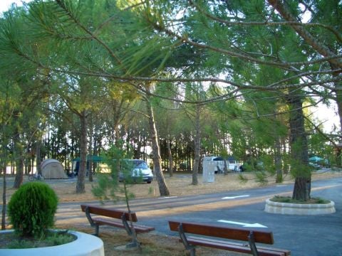 Camping Bolaso - Camping Saragosse - Image N°2