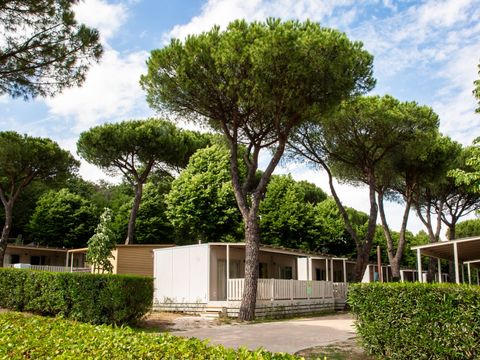 Camping hu I Pini Village Camping hu I Pini Village - Camping Rome - Image N°26