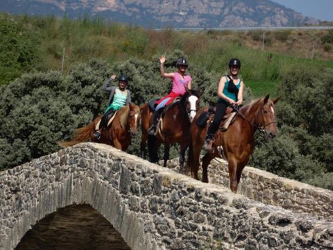 Camping Bungalowpark Isabena - Camping Huesca - Image N°9