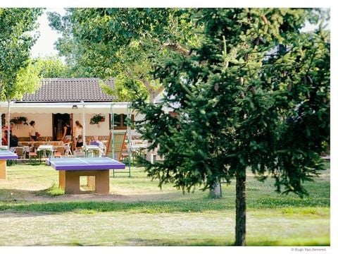 Camping Bungalowpark Isabena - Camping Huesca - Image N°12