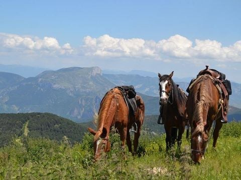 Camping Bungalowpark Isabena - Camping Huesca - Image N°8