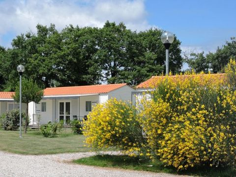 Camping Parc de la Croix des Fontenelles - Camping Vendée - Image N°8