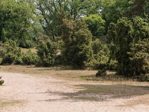 Camping Parc Witte Vennen - Camping Venray - Image N°59