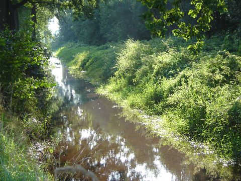 Camping Parc Witte Vennen - Camping Venray - Image N°42