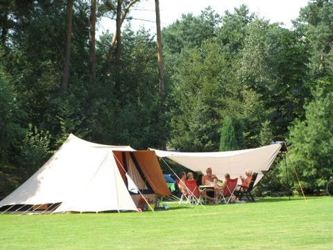 Camping Parc Witte Vennen - Camping Venray - Image N°53