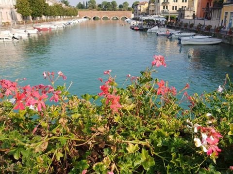 Camping del Garda - Camping Vérone - Image N°70