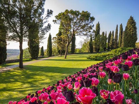 Camping del Garda - Camping Vérone - Image N°80