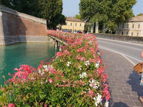 Camping del Garda - Camping Vérone - Image N°76