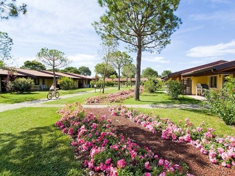 Camping del Garda - Camping Vérone - Image N°57