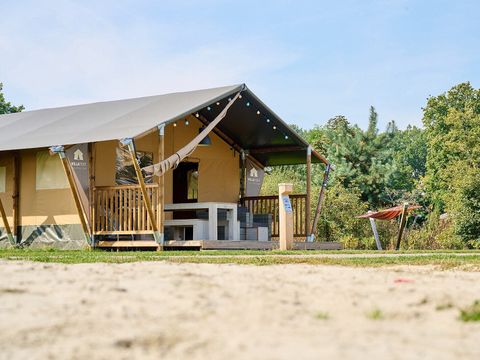 Vakantiepark Sallandshoeve - Camping Raalte - Image N°70