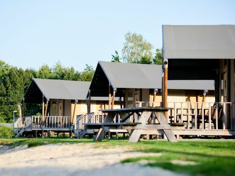 Vakantiepark Sallandshoeve - Camping Raalte - Image N°3
