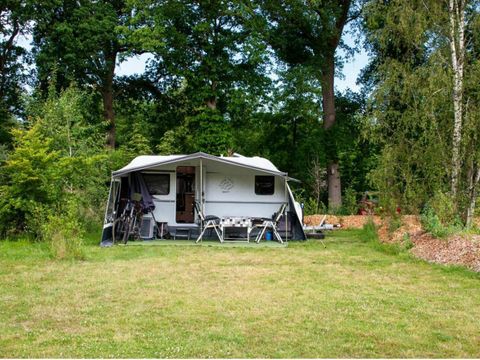 Vakantiepark Sallandshoeve - Camping Raalte - Image N°119