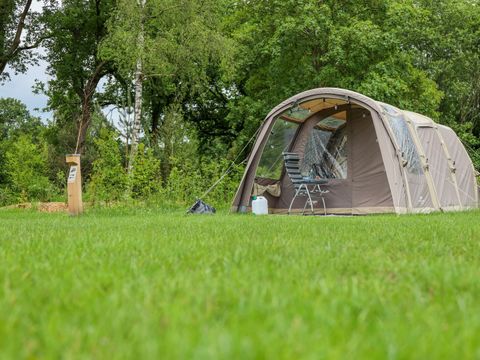 Vakantiepark Sallandshoeve - Camping Raalte - Image N°120