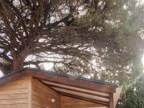 BUNGALOW 4 personnes - Confort Poniente