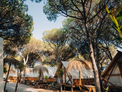Tente en toile et en bois 4 personnes - Glamping Tipi Retama