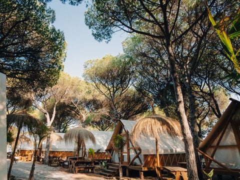 TENTE TOILE ET BOIS 4 personnes - Glamping Tipi Retama