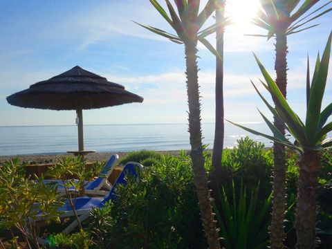 Résidence Sognu Di Rena - Vacancéole - Camping Corse du Nord - Image N°21