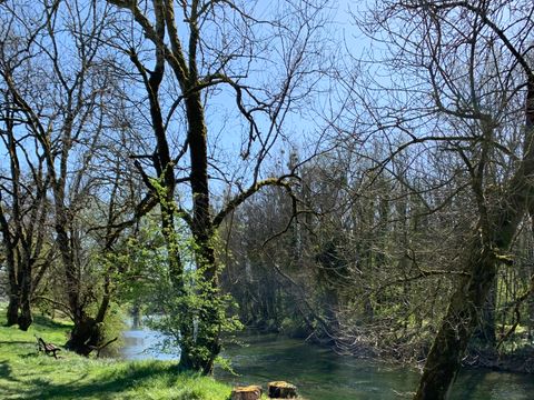 Camping La Saline - Camping Doubs - Image N°26