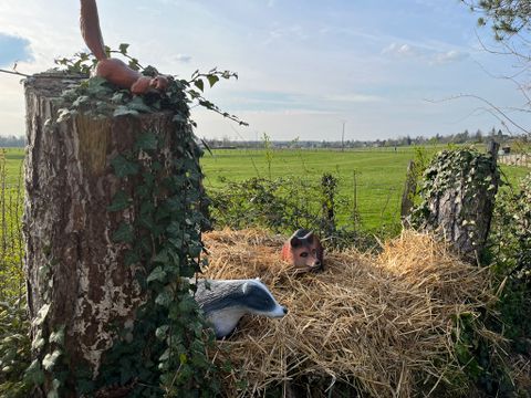 Camping La Saline - Camping Doubs - Image N°53