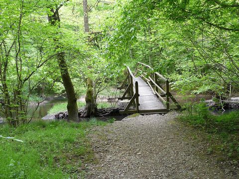 Camping La Saline - Camping Doubs - Image N°29