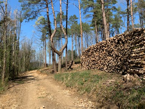 Camping La Saline - Camping Doubs - Image N°27