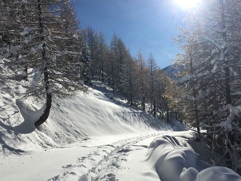 SOWELL Résidence New Chastillon - Isola 2000 - Camping Alpes-Maritimes - Image N°12