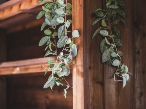 CHALET 2 personnes - Cottage Duo