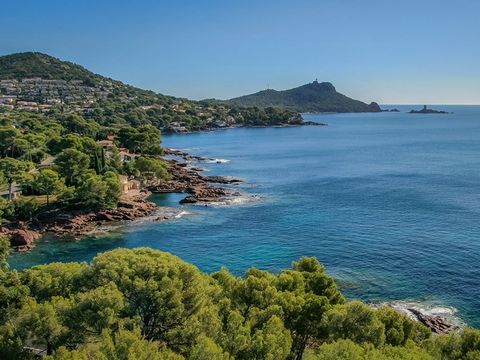 SOWELL - Résidence Les Chênes Verts - Camping Var - Image N°9