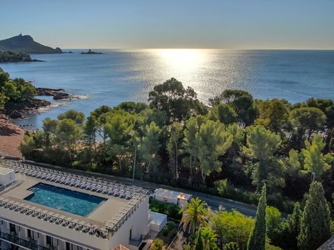 SOWELL - Résidence Les Chênes Verts - Camping Var - Image N°14