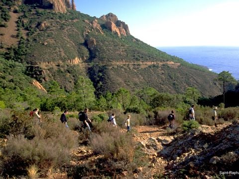 SOWELL - Résidence Les Chênes Verts - Camping Varo