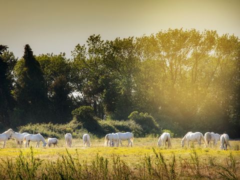 SOWELL - Résidence Les Mazets  - Camping Bouches-du-Rhône - Image N°27