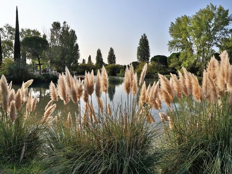 SOWELL - Résidence Les Mazets  - Camping Bouches-du-Rhône - Image N°17