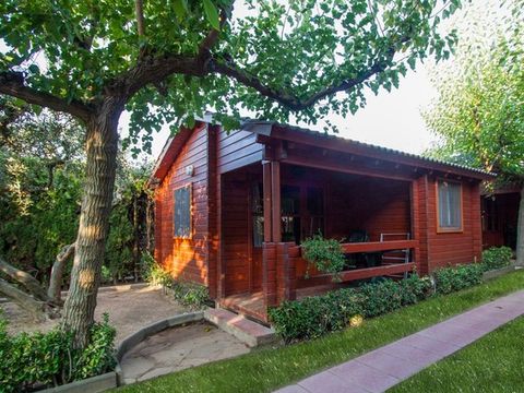 BUNGALOW 4 personnes - C. Junior Oasis