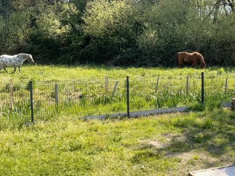 MOBILHOME 4 personnes - CONFORTABLE ECOLODGE (DF23) 2CH - CLIM - WIFI - PISCINE/JACUZZI 4 pers