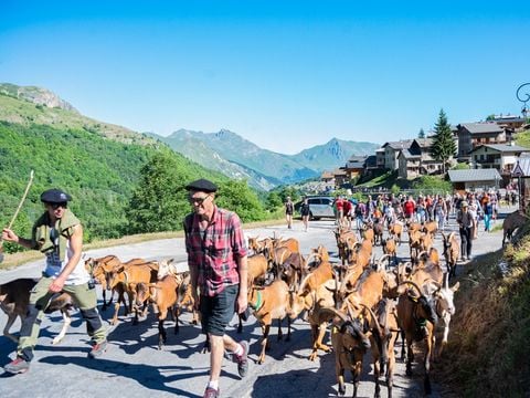 SOWELL - Résidence Pierre Blanche - Les Ménuires - Camping Savoie - Image N°23