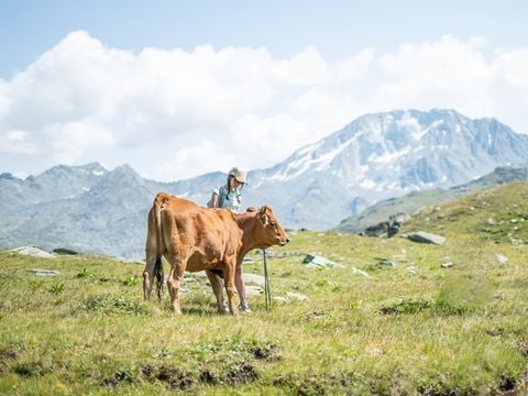 SOWELL - Résidence Pierre Blanche - Les Ménuires - Camping Savoie - Image N°12