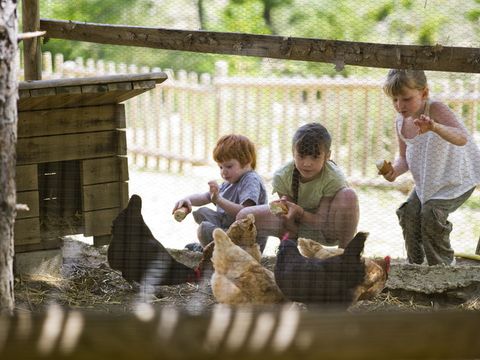 SOWELL - Family Le Vallon - Camping Ardèche - Image N°79