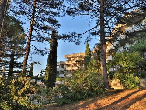 SOWELL - Family Le Vallon - Camping Ardèche - Image N°66