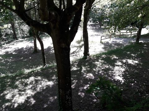 Emplacement - Tente