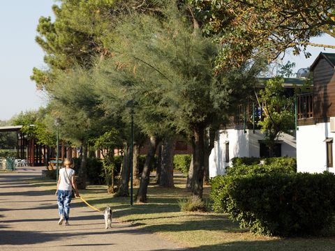 Residence Mare Pineta - Camping Ravenne