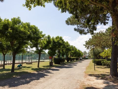 Residence Mare Pineta - Camping Ravenne - Image N°7