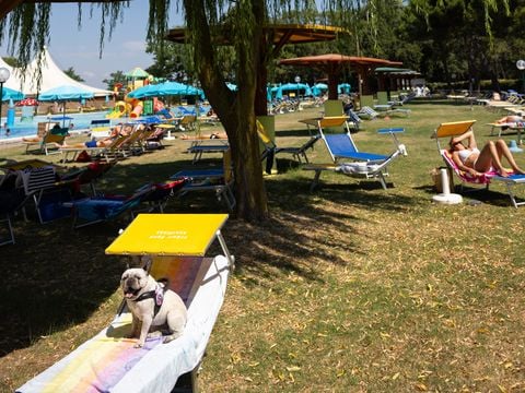 Residence Mare Pineta - Camping Ravenne