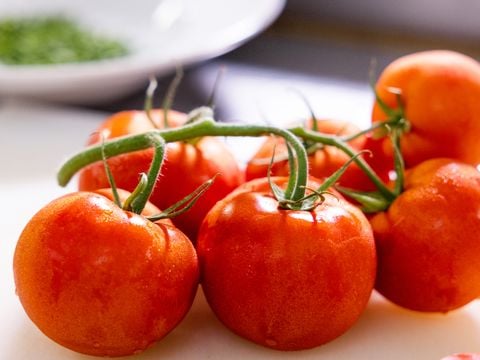 Residence Mare Pineta - Camping Ravenne