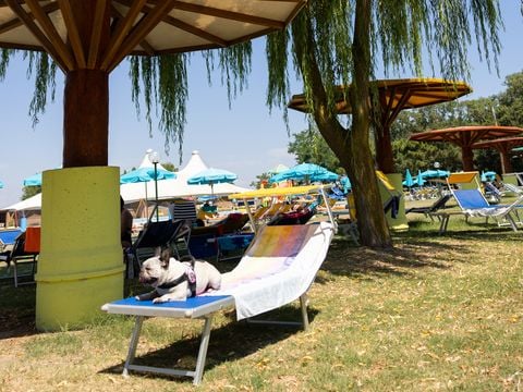 Residence Mare Pineta - Camping Ravenne